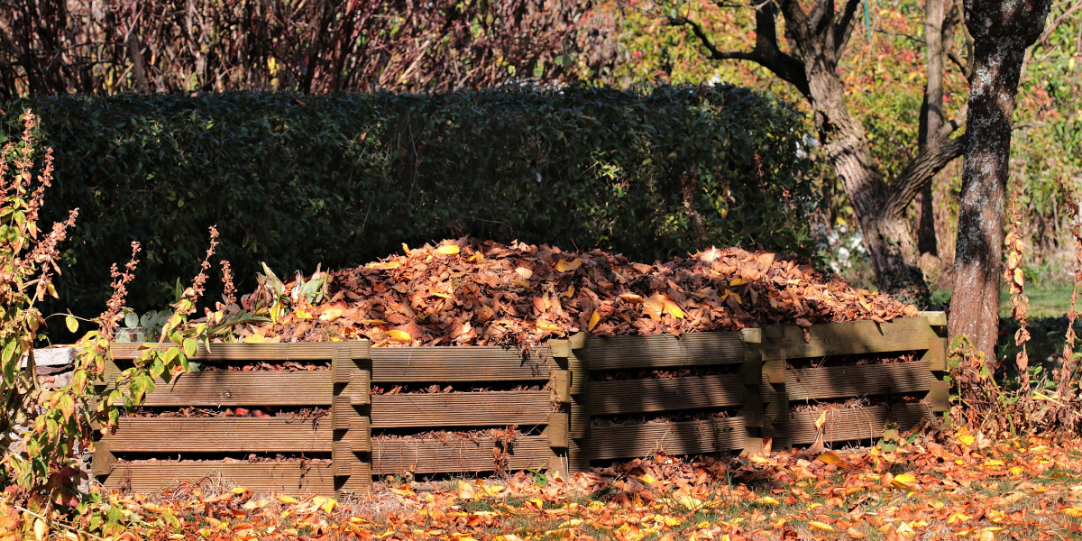 Leaf Compost